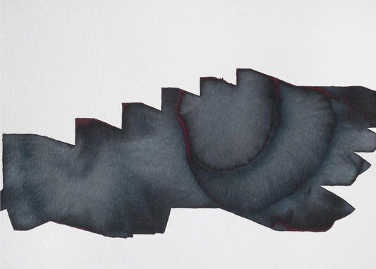 Blackbird | Canvas