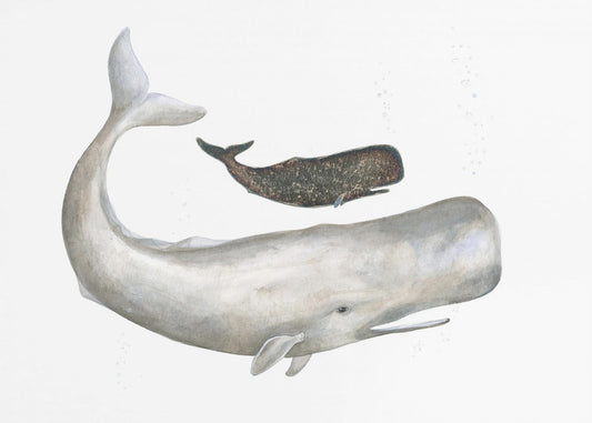 Gentle Ocean Giants | Poster