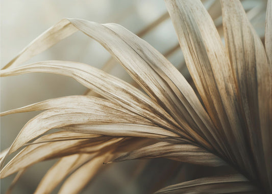 Whispering Leaves | Canvas
