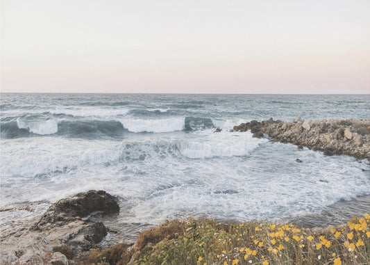 At the Coast | Poster