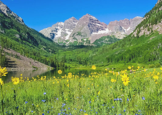 Maroon Bells Wildflowers | Canvas