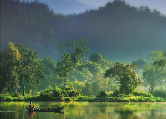 Painting of  Nature | Canvas