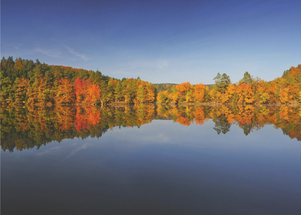 Autumn | Canvas