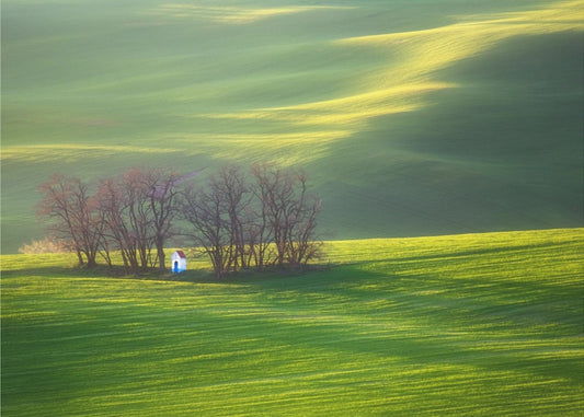 Fields... | Canvas