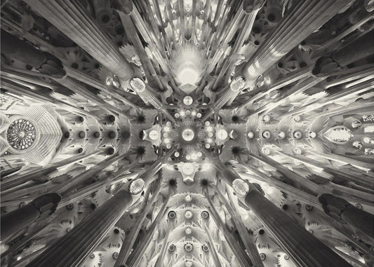 Artificial forest - Sagrada Familia | Canvas