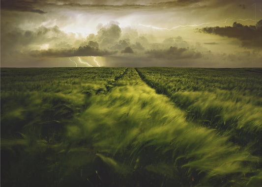 Journey to the Fierce Storm | Poster