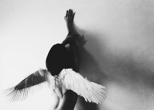 not fly | Canvas