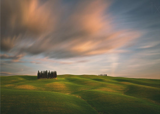 Fields... | Canvas