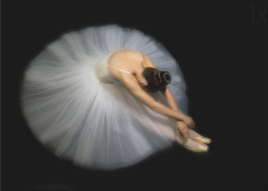 Elegance | Canvas
