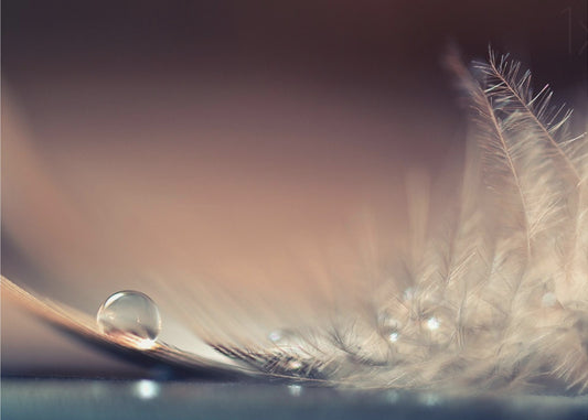 Stories of Drops | Canvas