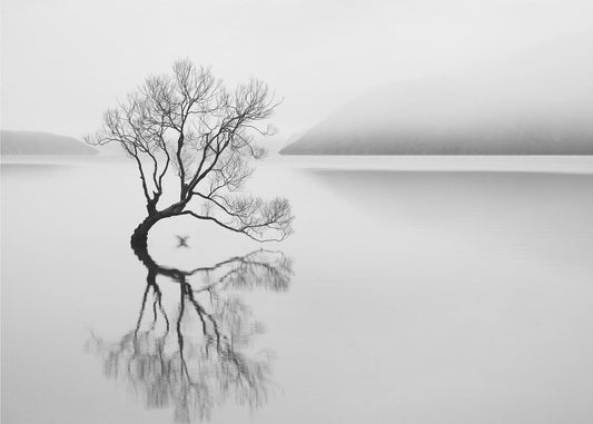 Serenity | Poster