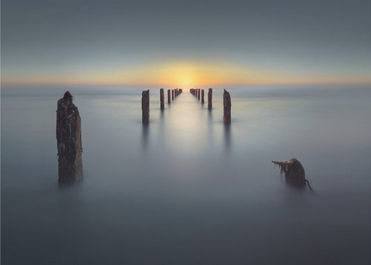 Last Light | Canvas