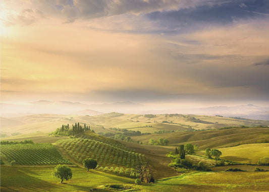 Podere Belvedere's Sunrise | Poster