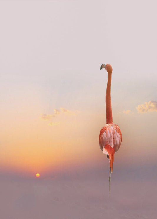 sunset ... | Canvas