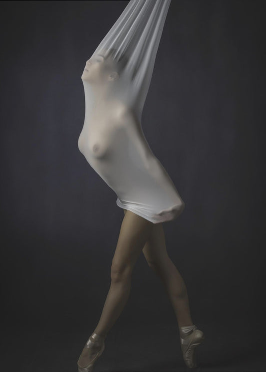 Sheer Stretch | Canvas
