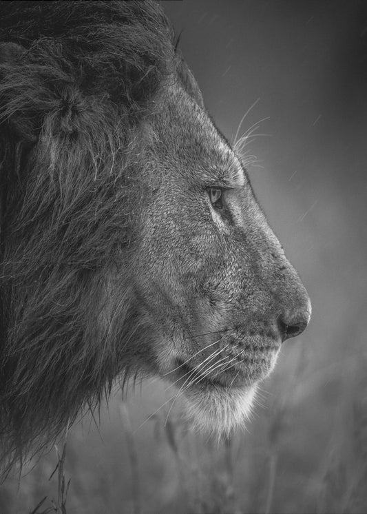 Thinking Under The Rain | Canvas