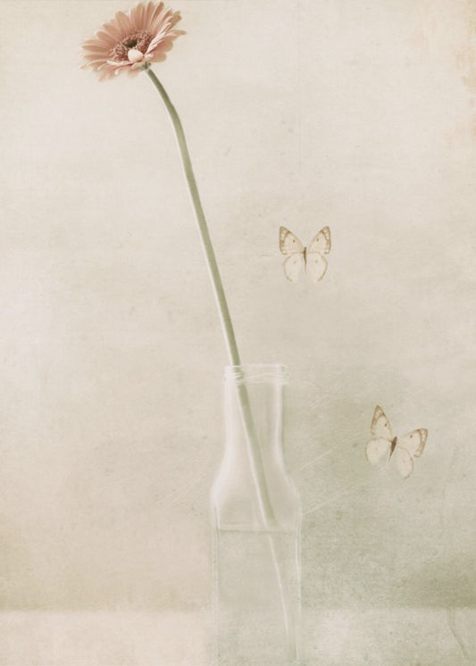 Miss Daisy | Canvas