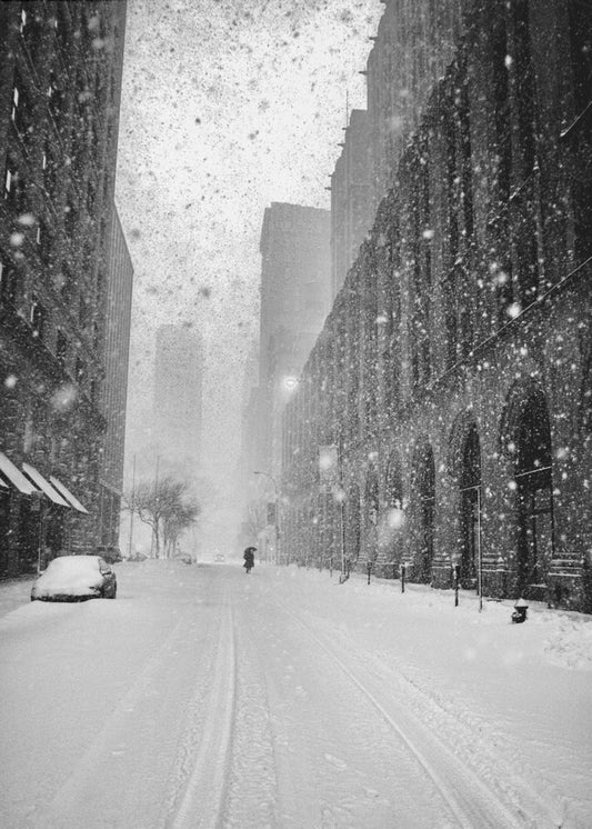 New York Walker in Blizzard | Canvas