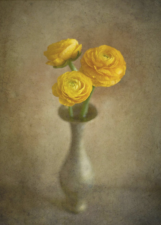 Yellow buttercups | Canvas