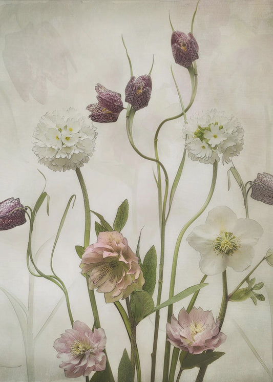 Spring Garden | Canvas