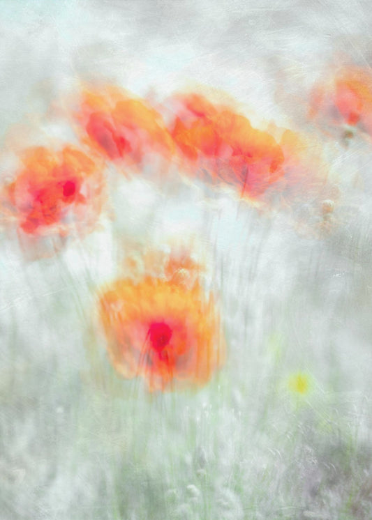 Red Corn Flowers | Poster