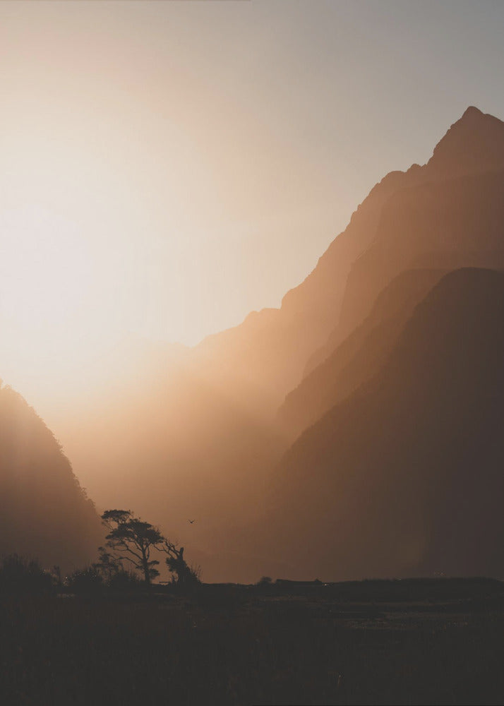 Rage, rage against the dying of the light. | Canvas