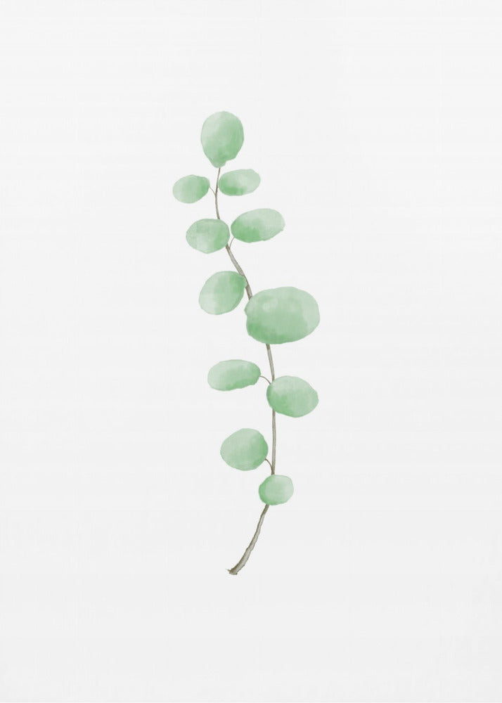 Branch | Canvas