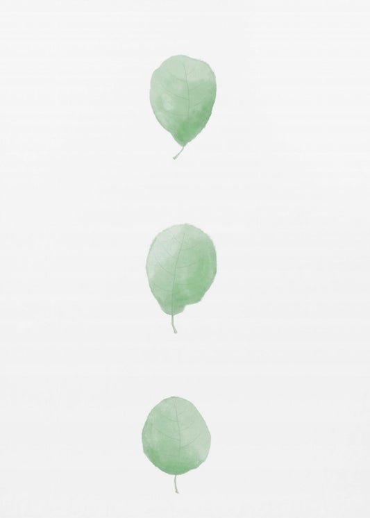 Birch Leaves in Row | Poster