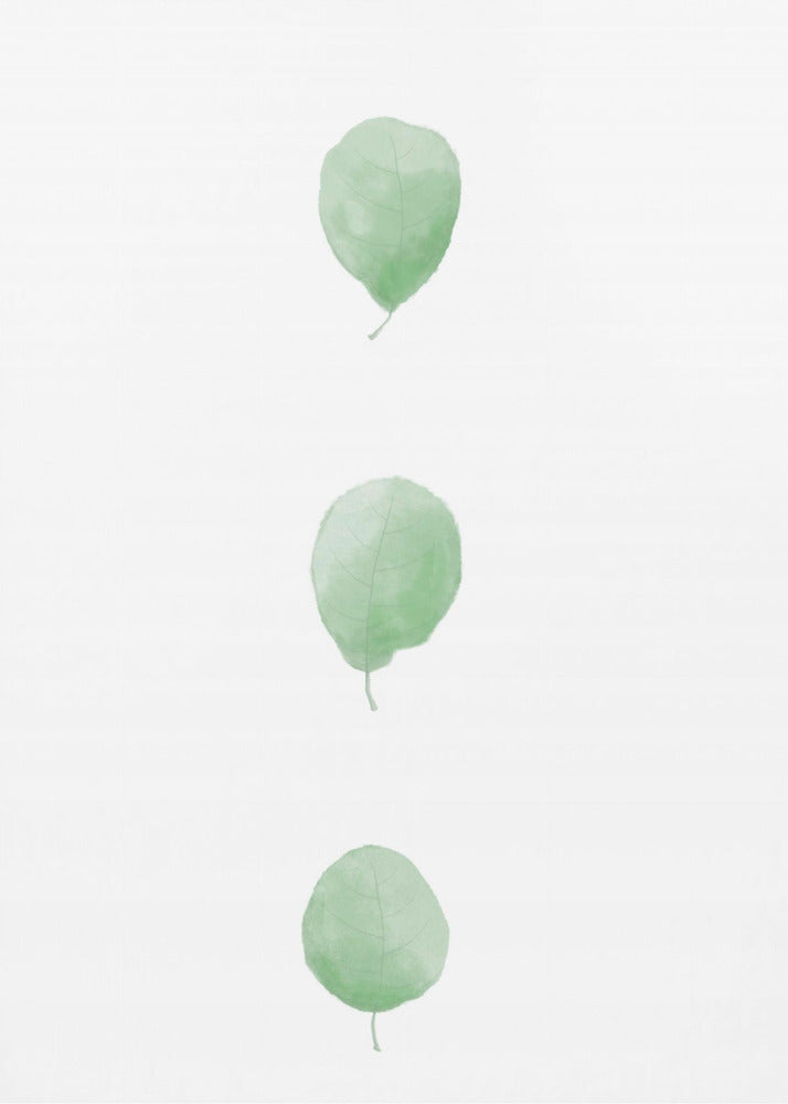 Birch Leaves in Row | Canvas