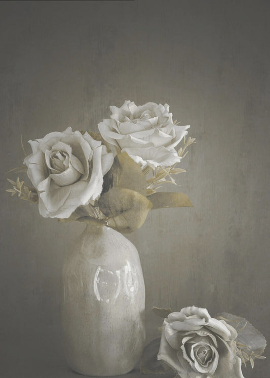 Softened | Canvas