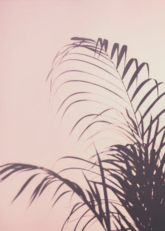 Palm Leaves_1 | Poster