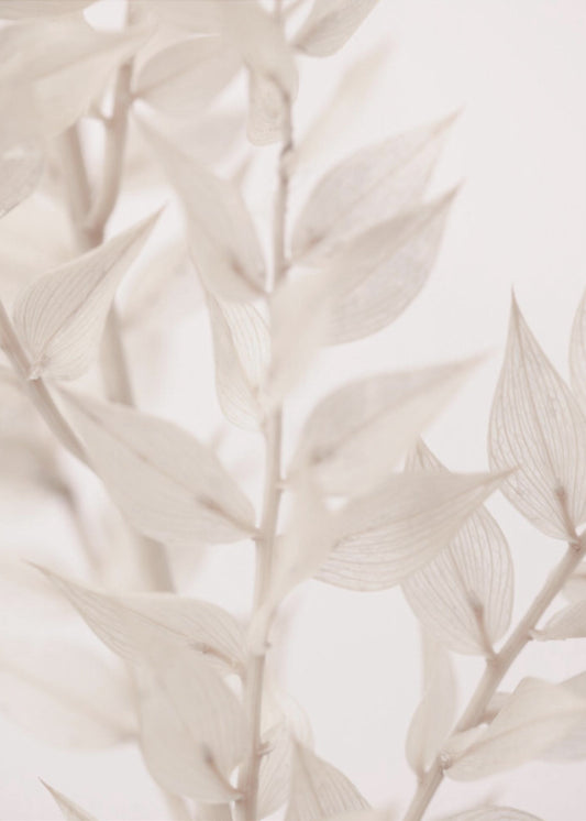 Dried Straws_3 | Poster