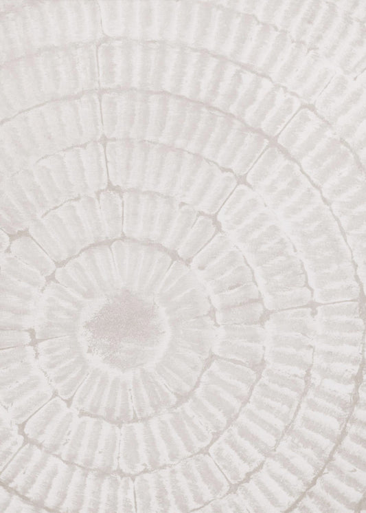 Pattern_plate_1 | Canvas