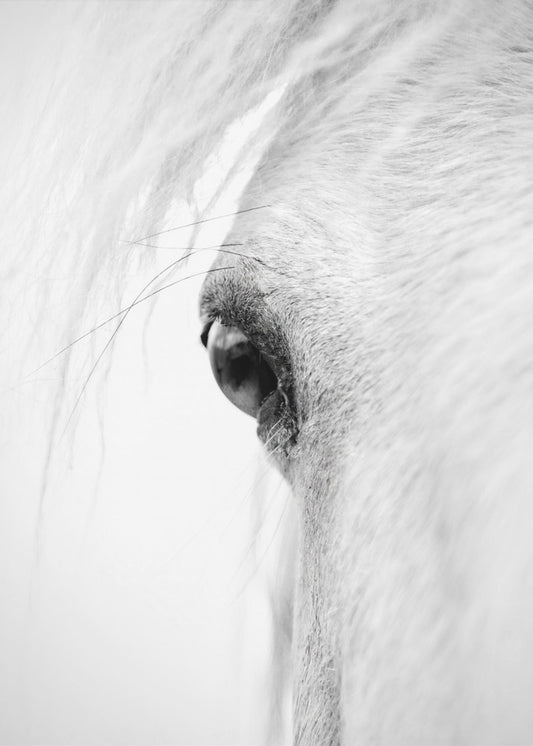 Hose eye | Poster