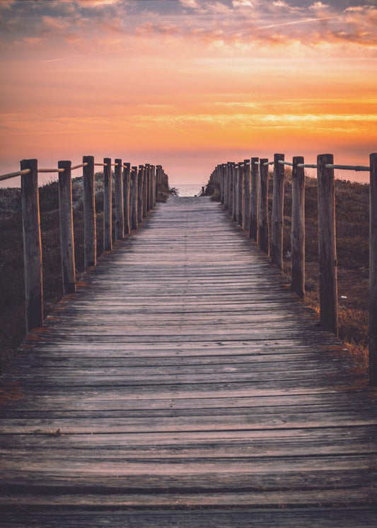 The path | Canvas
