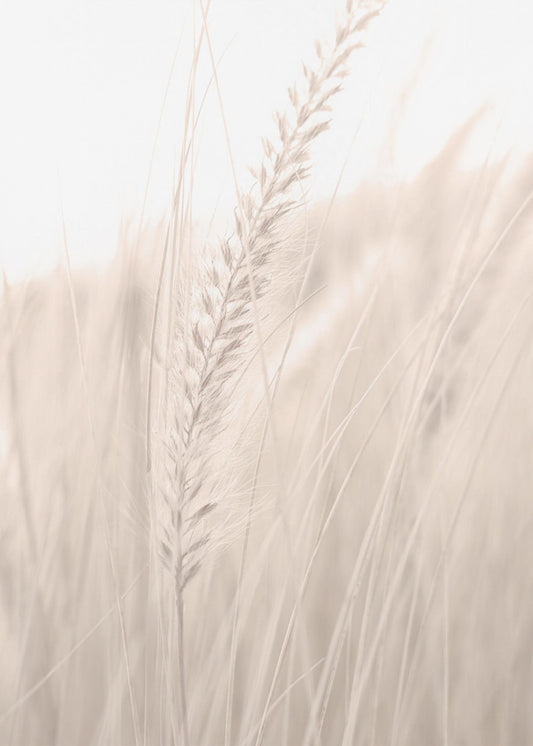 Grass_001 | Canvas