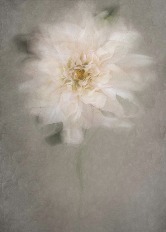 For the Bride | Poster