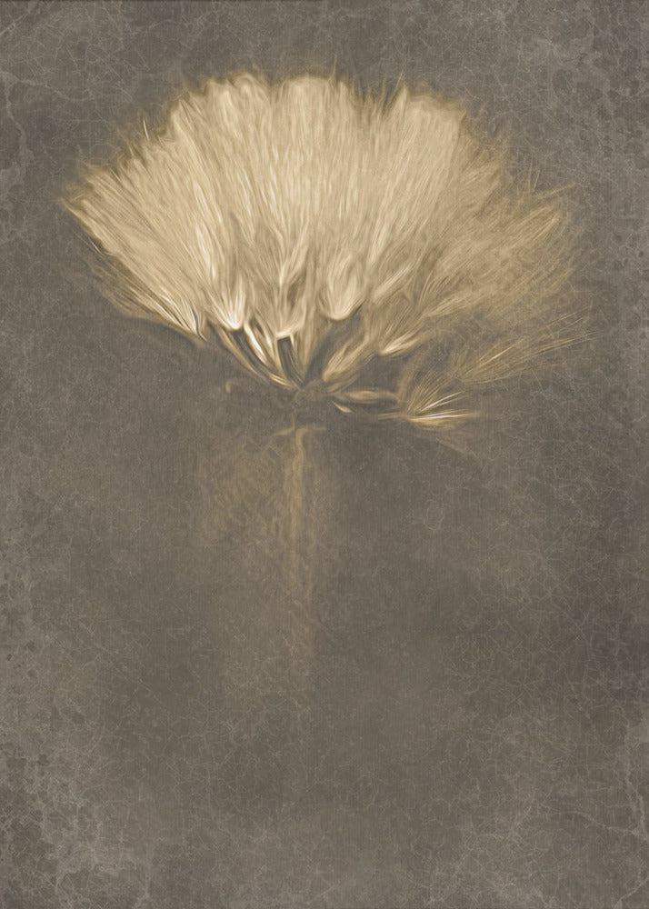 Mysterious Days | Poster