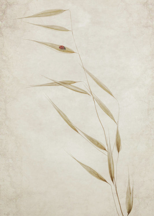 The Tenant | Poster