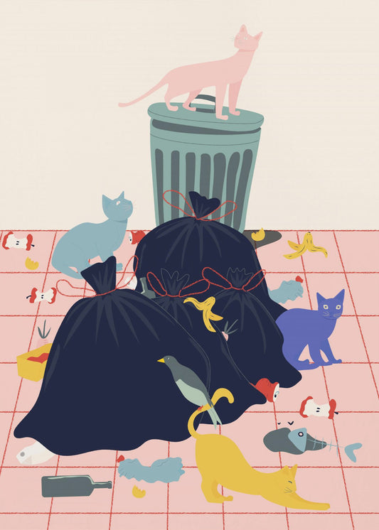 Cats | Canvas