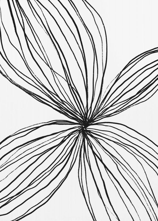 Flowing Petal Lines | Poster