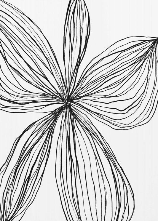 Minimalist Black and White Petals | Poster