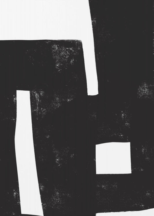 Black and White Maze | Poster