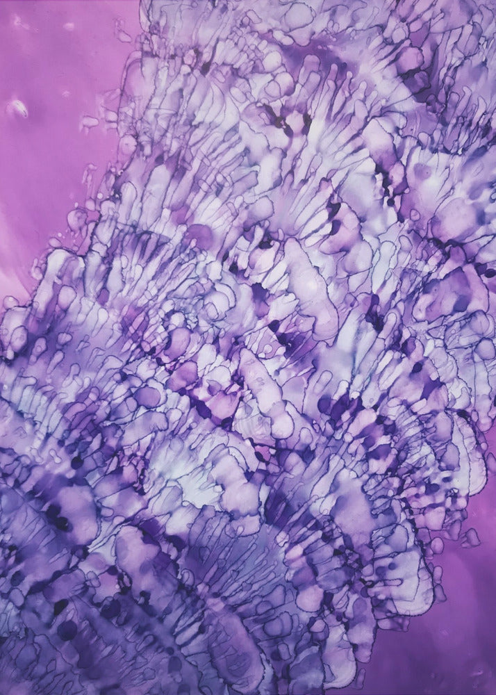 She Sells Sea Shells | Poster