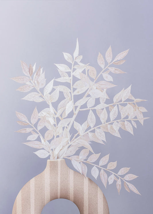 Ruscus | Poster