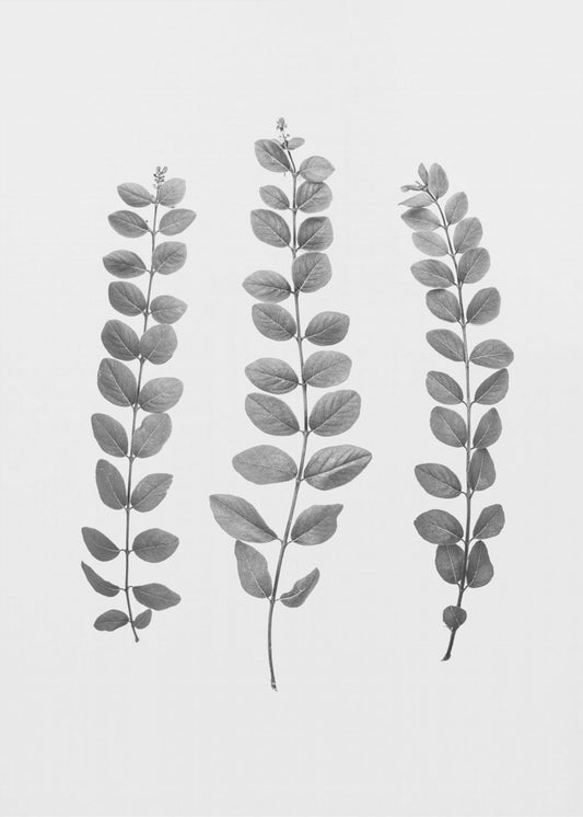 Twigs | Poster