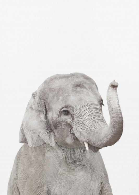 Baby Elephant | Poster