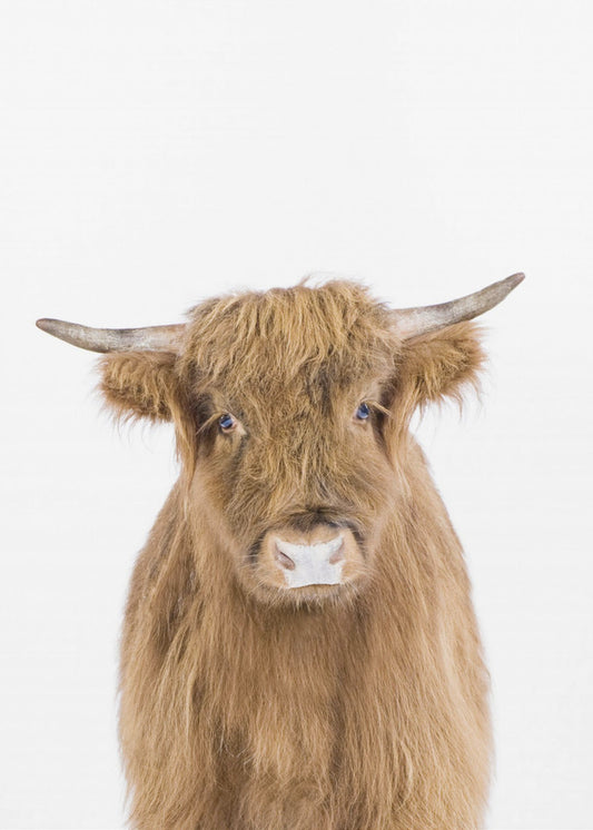 Baby Cow | Poster