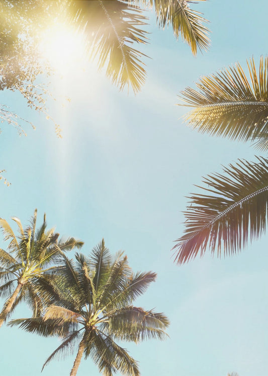 Sun Rays | Poster