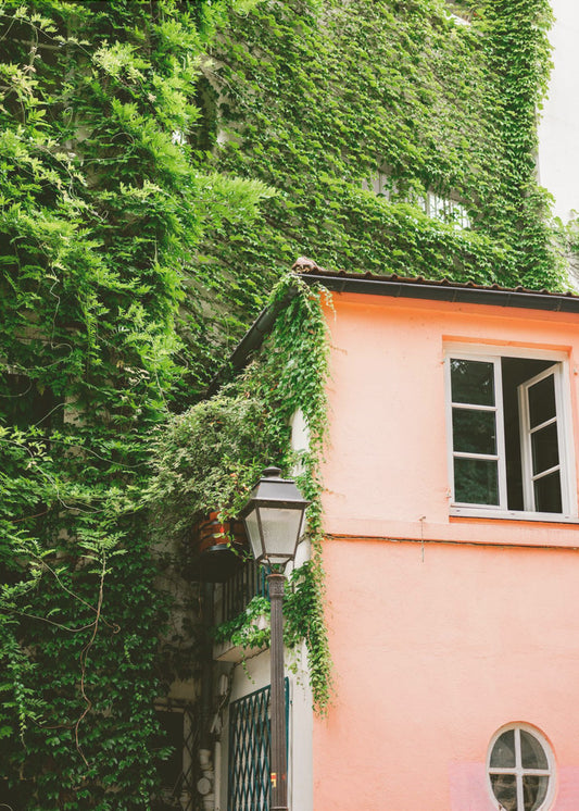 Green and Pink || Montmartre Paris | Poster